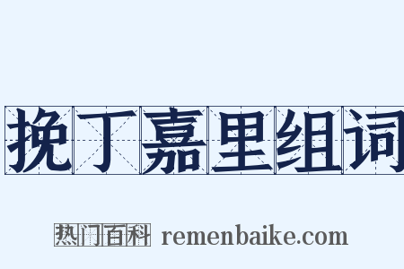 挽丁嘉里组词是什么意思的图片